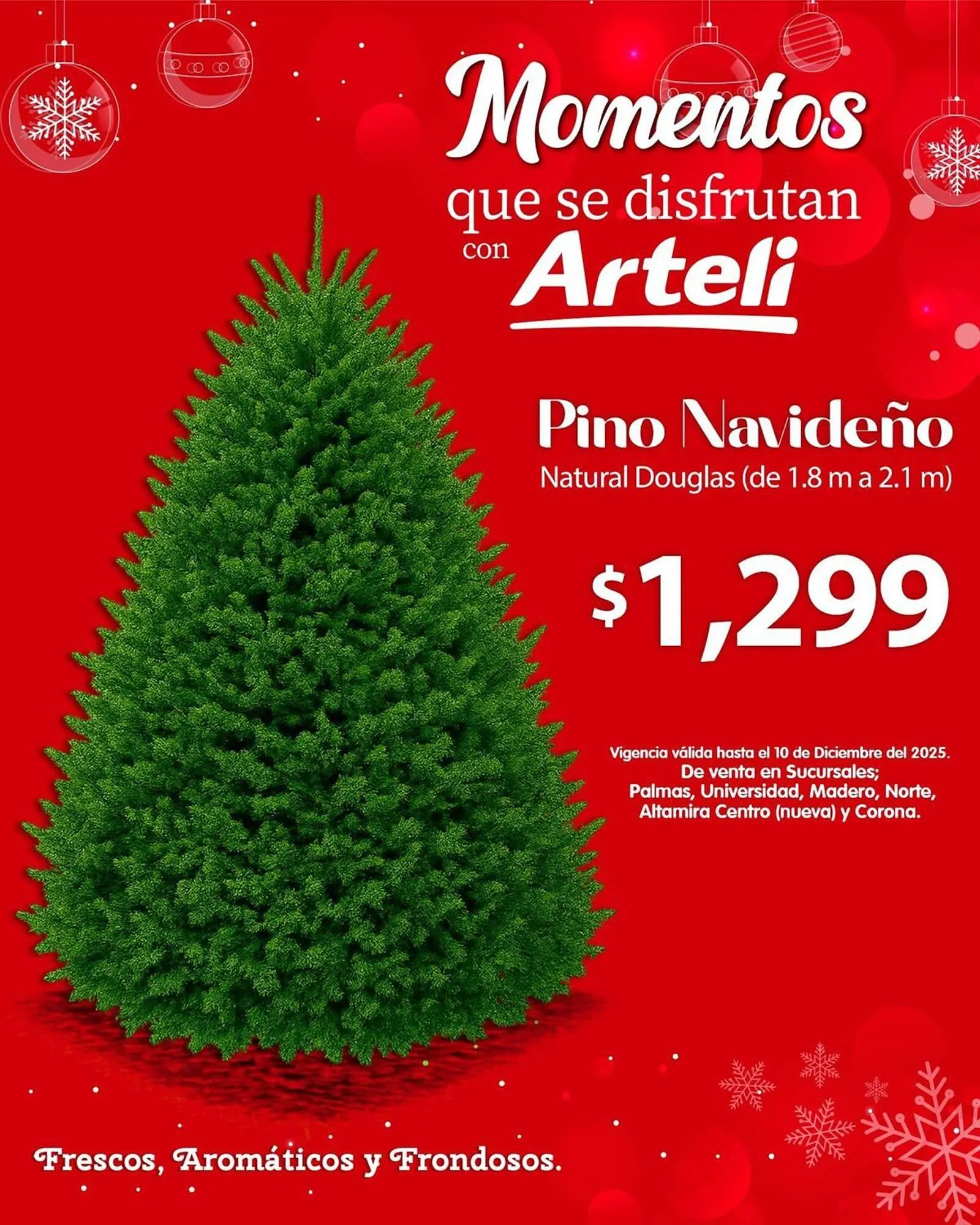 Catálogo de Folleto Arteli 30 de noviembre al 10 de diciembre 2025 - Pagina 2