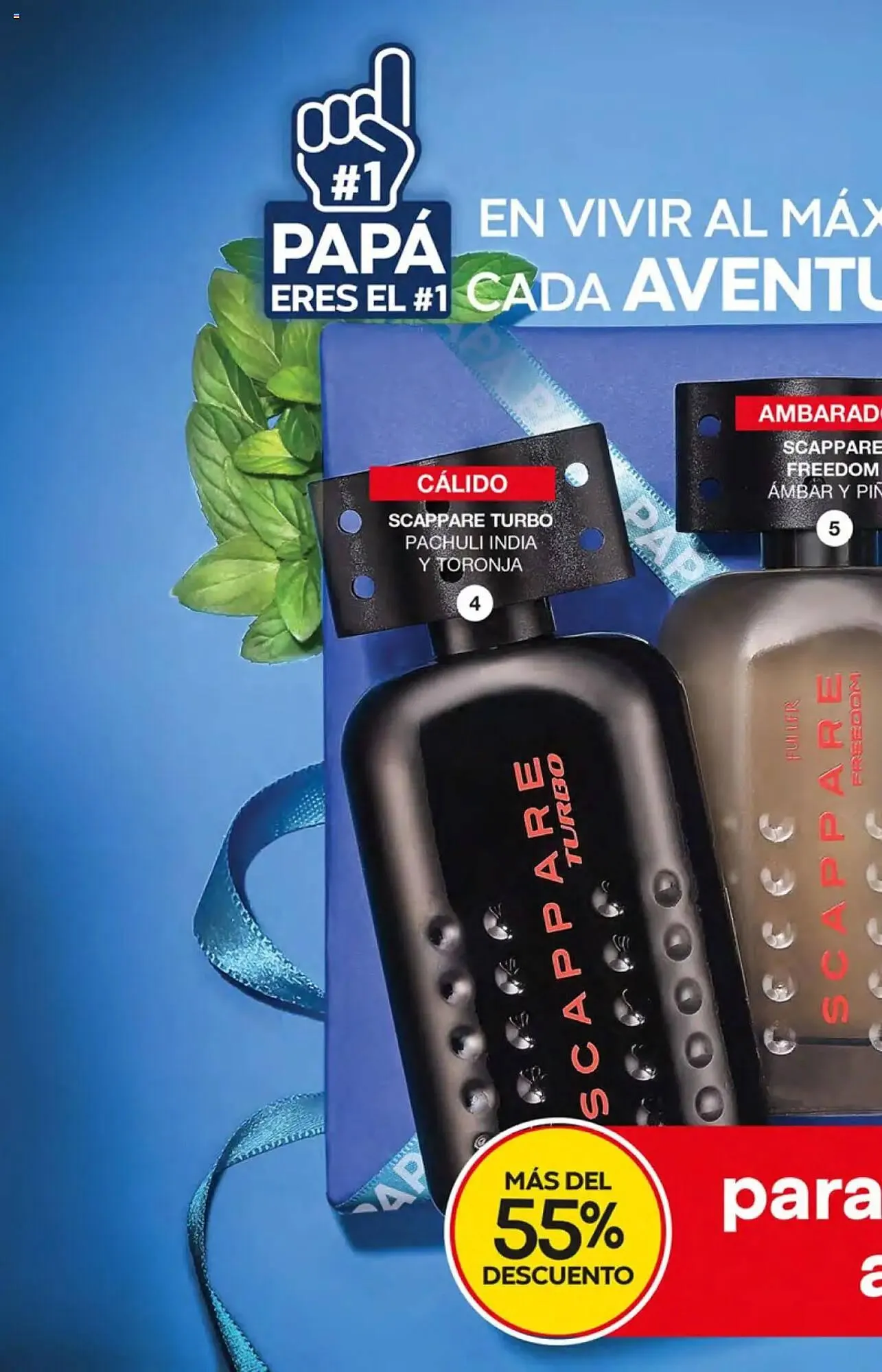 Catálogo de Catálogo Fuller 14 de mayo al 3 de junio 2025 - Pagina 6