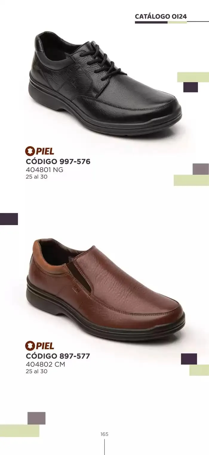 Catálogo de Pakar Flexi 23 de octubre al 31 de enero 2025 - Pagina 165