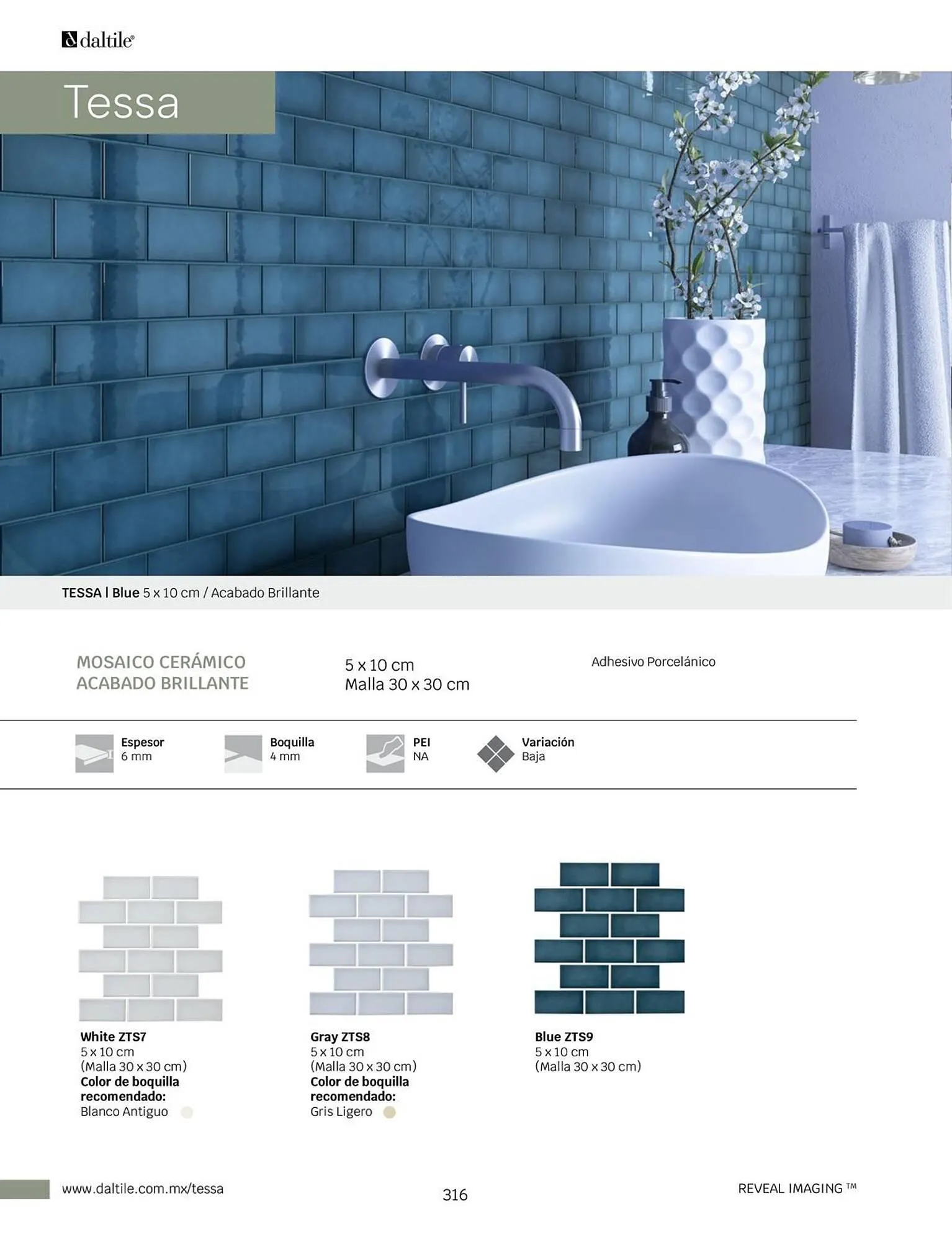 Catálogo de Catálogo Daltile 1 de enero al 31 de diciembre 2024 - Pagina 316