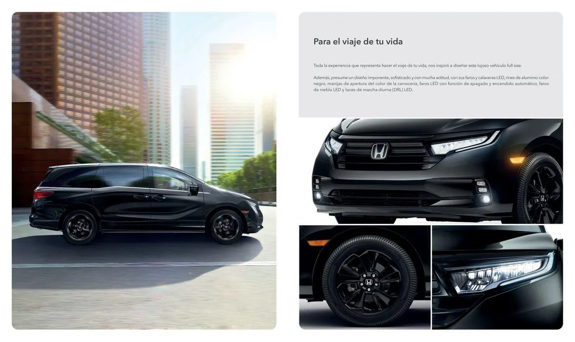 Catálogo de ODYSSEY 2024 22 de mayo al 31 de diciembre 2024 - Pagina 2