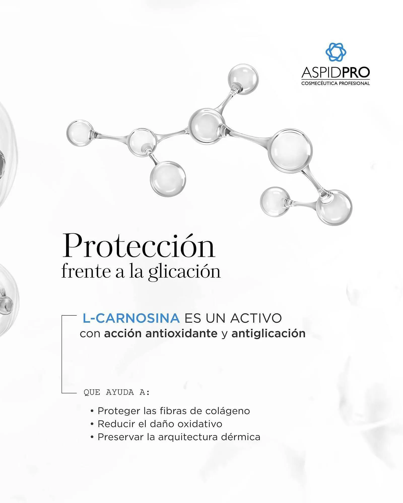 Catálogo de Catálogo AspidPro 18 de marzo al 31 de marzo 2026 - Pagina 3