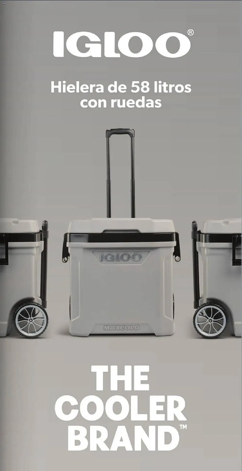 Catálogo de Catálogo Costco 22 de diciembre al 19 de enero 2026 - Pagina 17