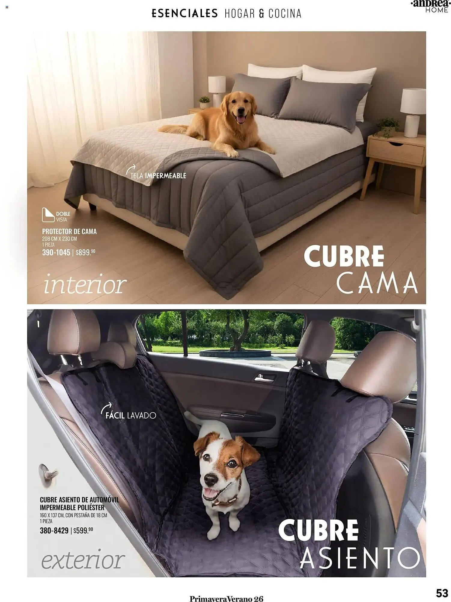 Catálogo de Catálogo Andrea 25 de enero al 22 de agosto 2026 - Pagina 53