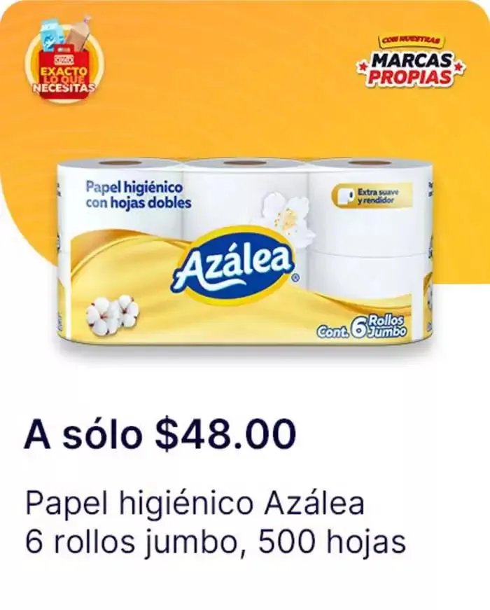Catálogo de Exacto lo que necesitas 7 de enero al 22 de enero 2025 - Pagina 107