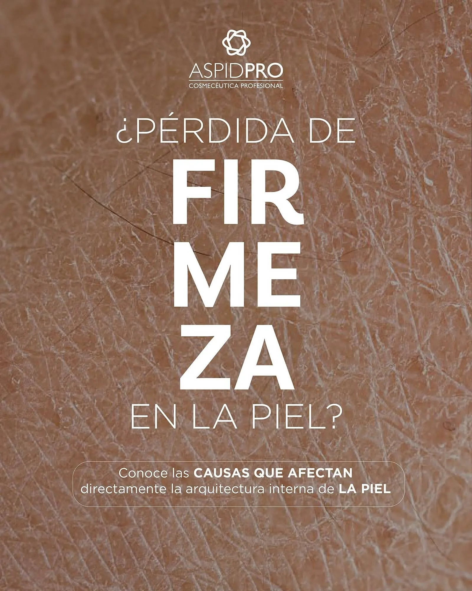 Catálogo AspidPro - 1