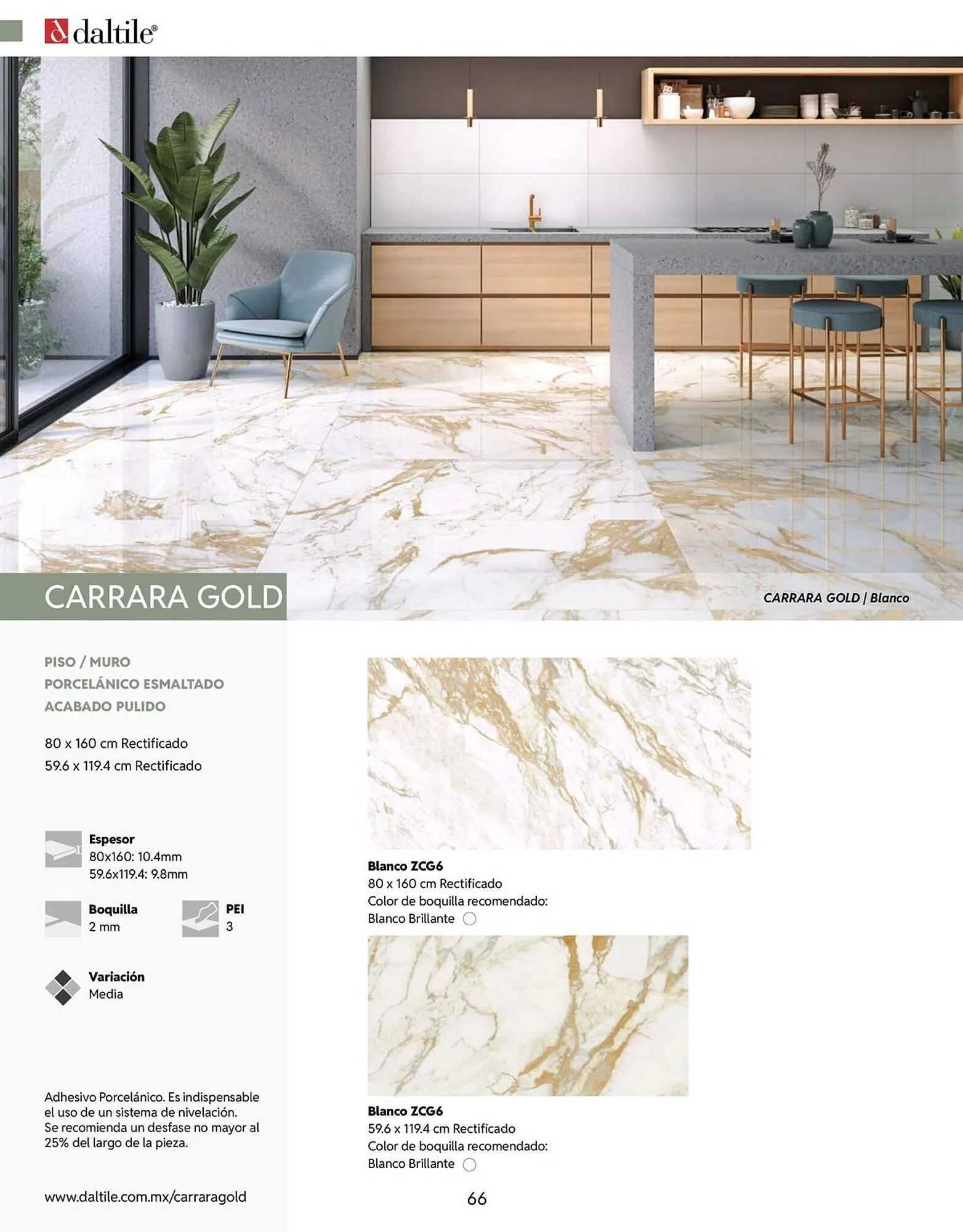 Catálogo de Catálogo Daltile 13 de enero al 31 de diciembre 2026 - Pagina 66