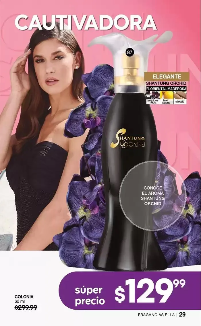 Catálogo de Fuller CAMPAÑA 01 1 de enero al 31 de diciembre 2025 - Pagina 31