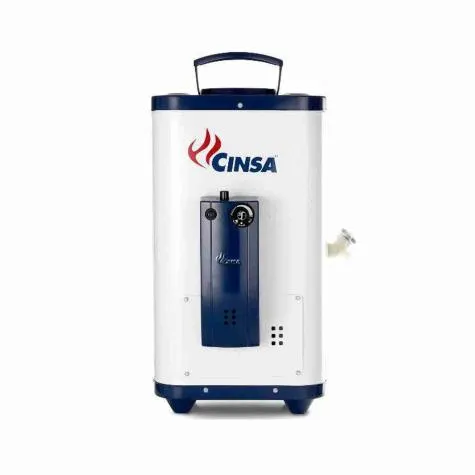 Boiler De Paso Gas Natural 6lts P/min