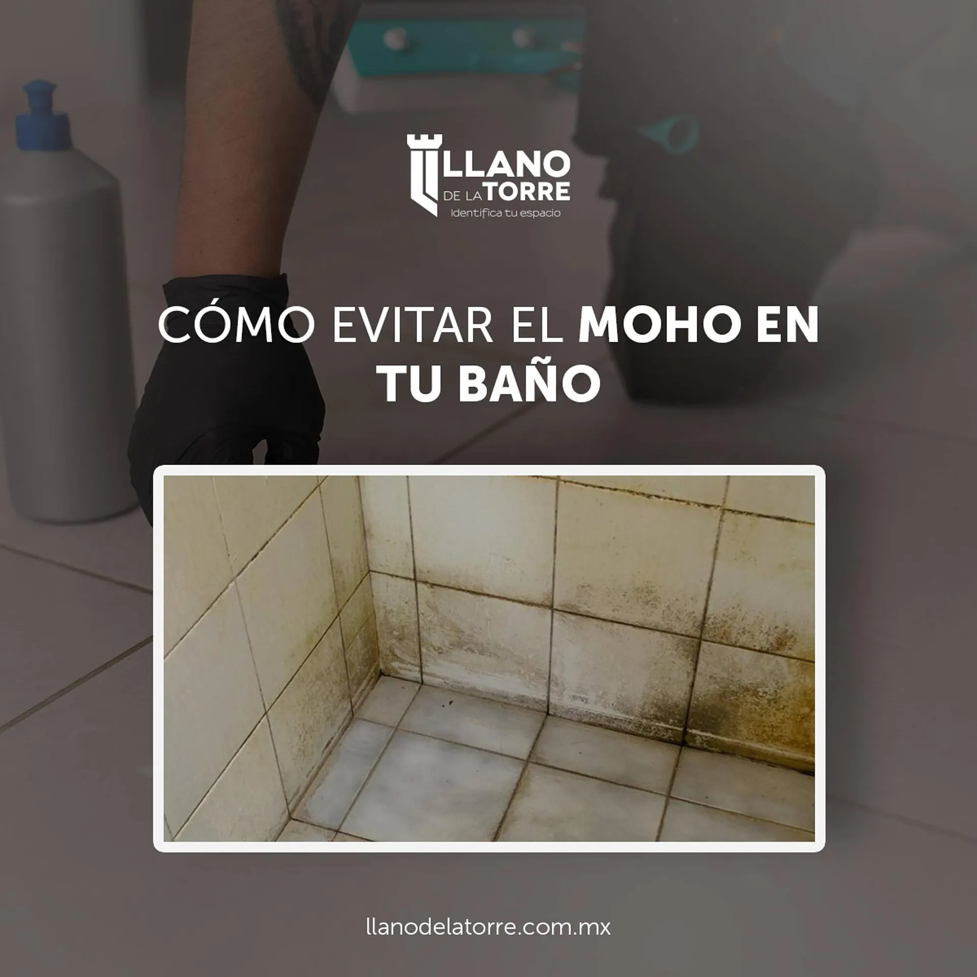 Catálogo de Catálogo Llano de la Torre 24 de junio al 25 de junio 2025 - Pagina 1