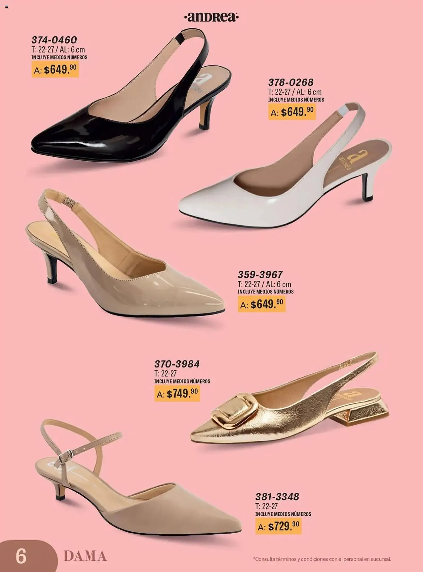Catálogo de Catálogo Andrea 11 de enero al 28 de junio 2026 - Pagina 6