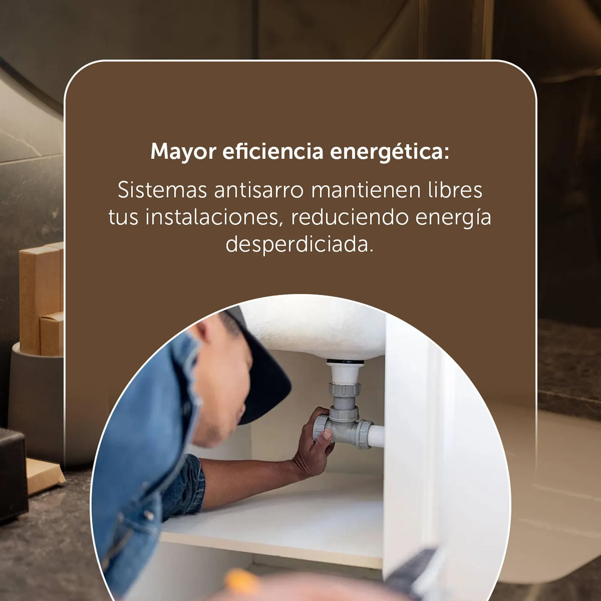 Catálogo de Catálogo Llano de la Torre 19 de junio al 19 de junio 2025 - Pagina 2