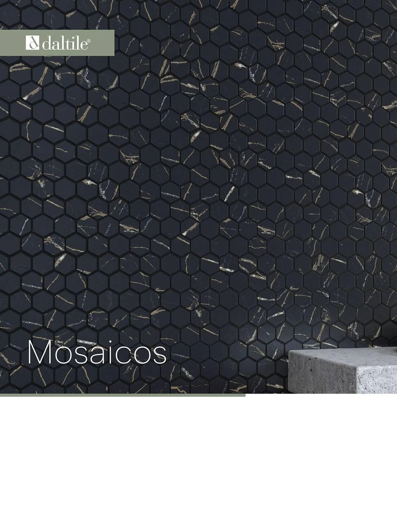 Catálogo de Catálogo Daltile 1 de enero al 31 de diciembre 2024 - Pagina 300