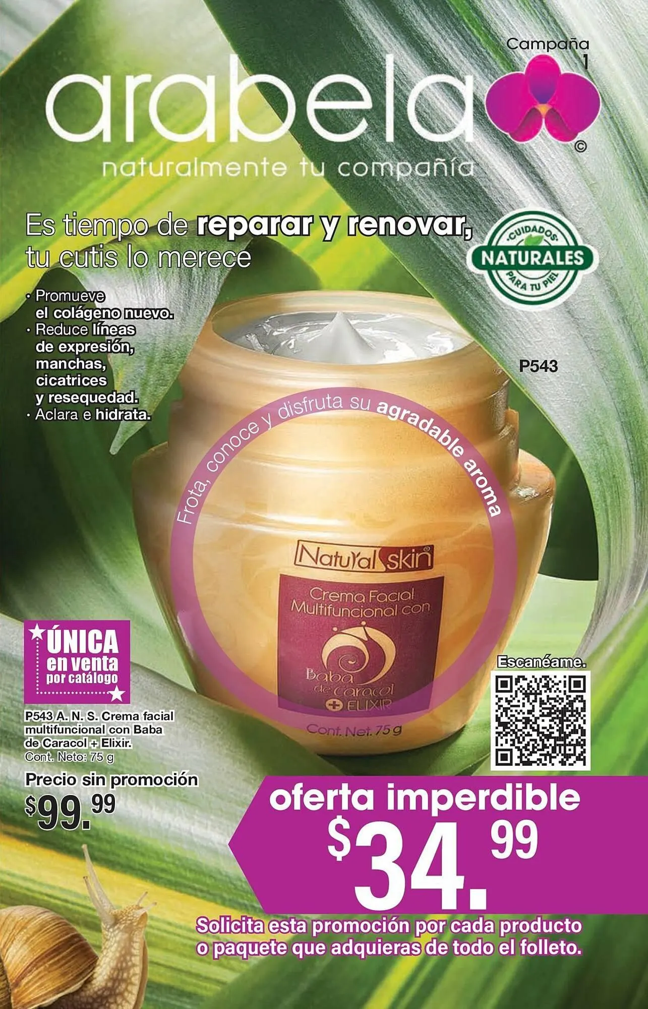 Catálogo Arabela - 1