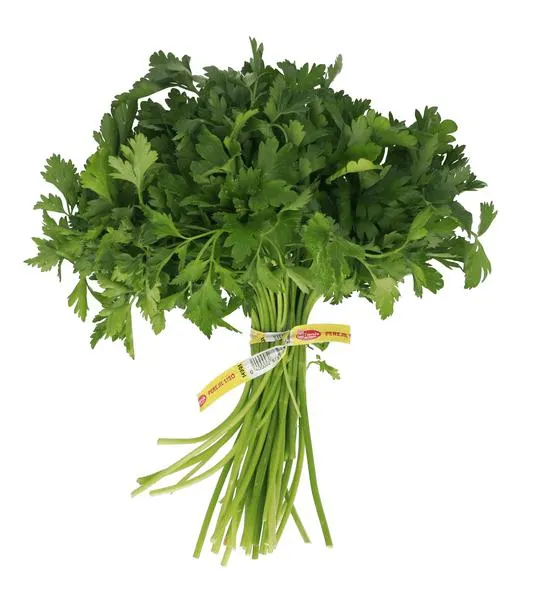 Perejil Liso Mt 1 Pz