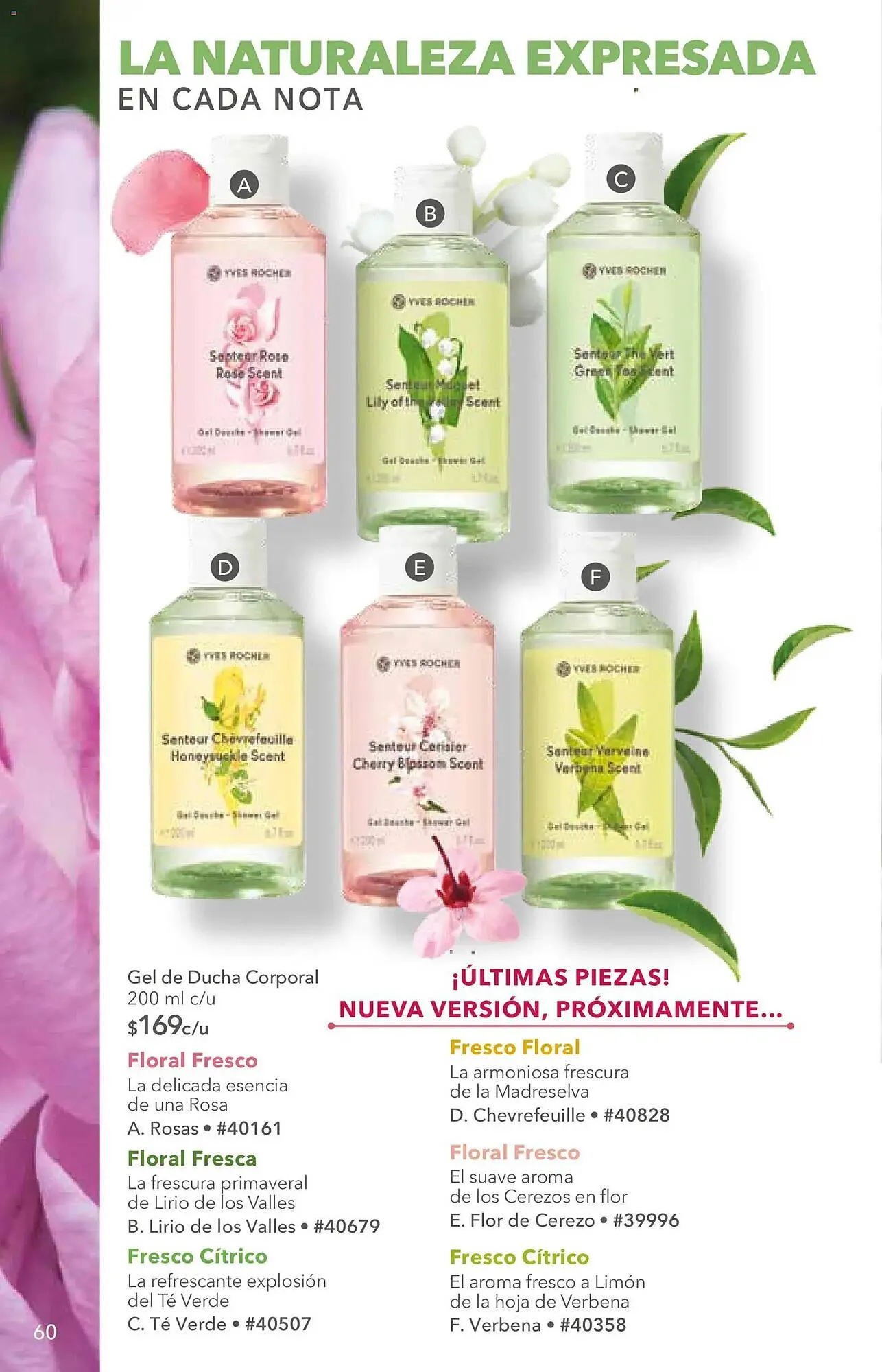 Catálogo de Catálogo Yves Rocher 2 de junio al 22 de junio 2026 - Pagina 62