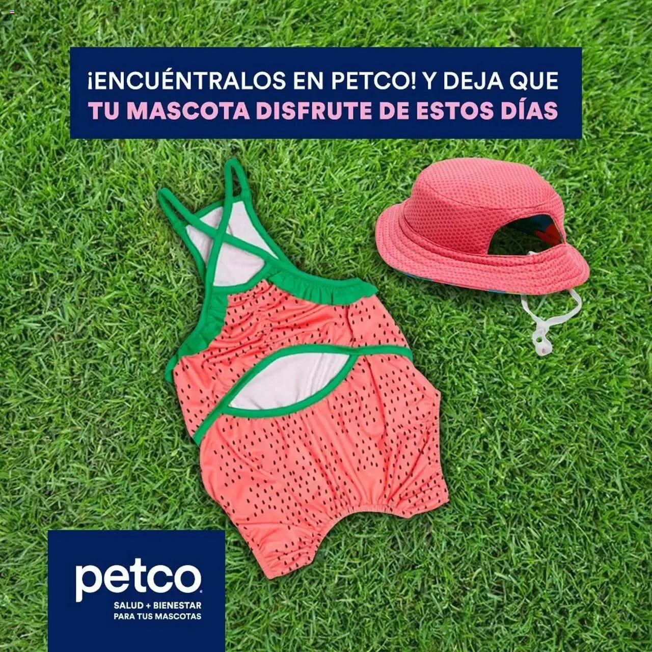 Catálogo de PetCo catálogo Summer 6 de mayo al 31 de diciembre 2024 - Pagina 4