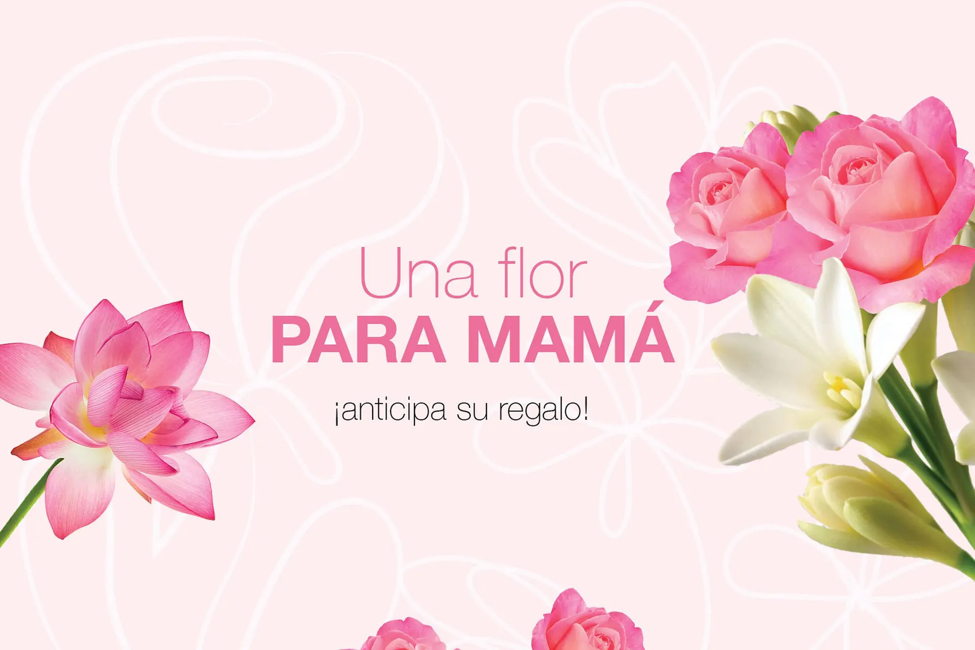 Catálogo de Catálogo Arabela 21 de abril al 4 de mayo 2026 - Pagina 1