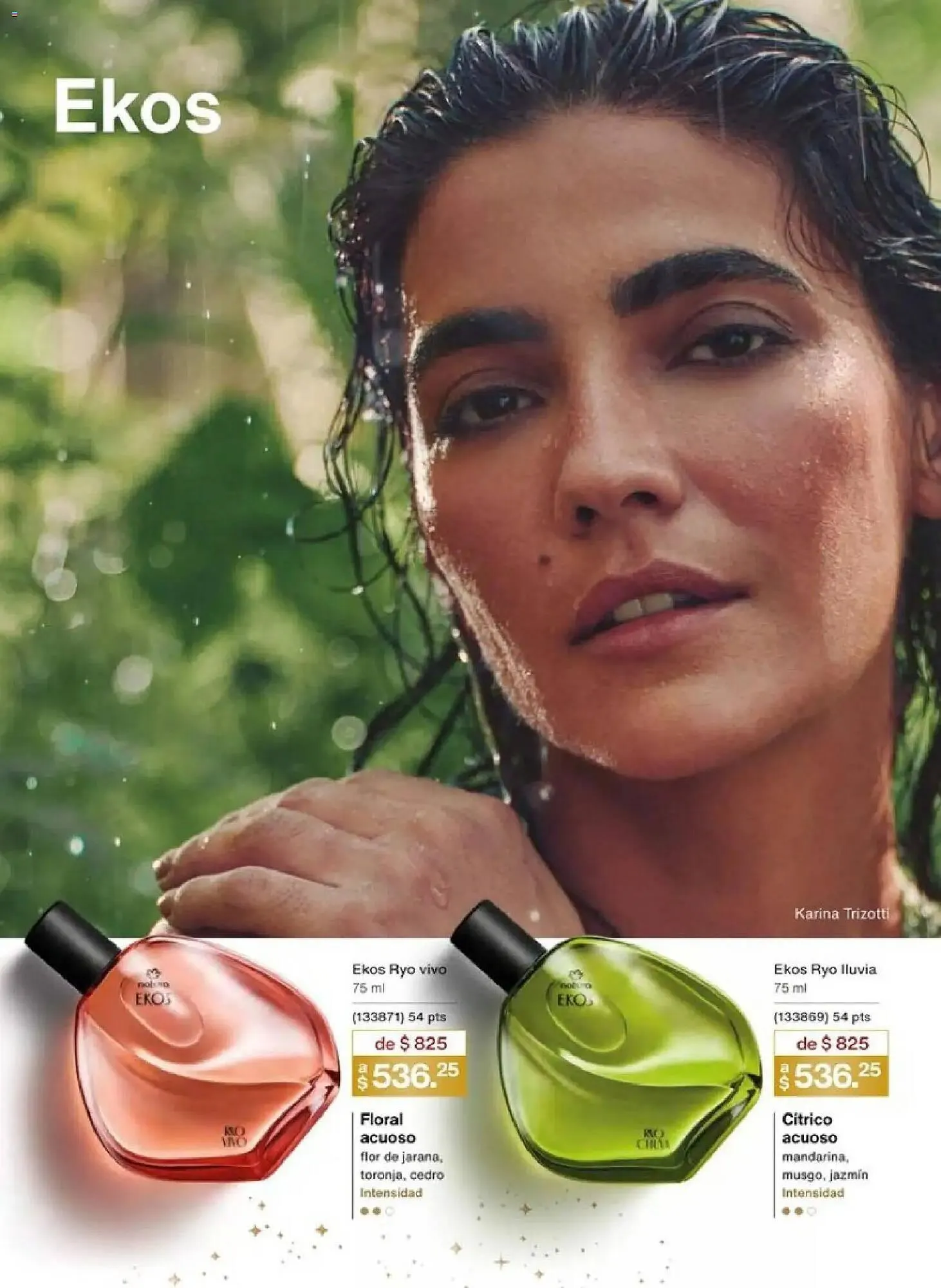 Catálogo de Catálogo Natura 10 de noviembre al 1 de enero 2026 - Pagina 41