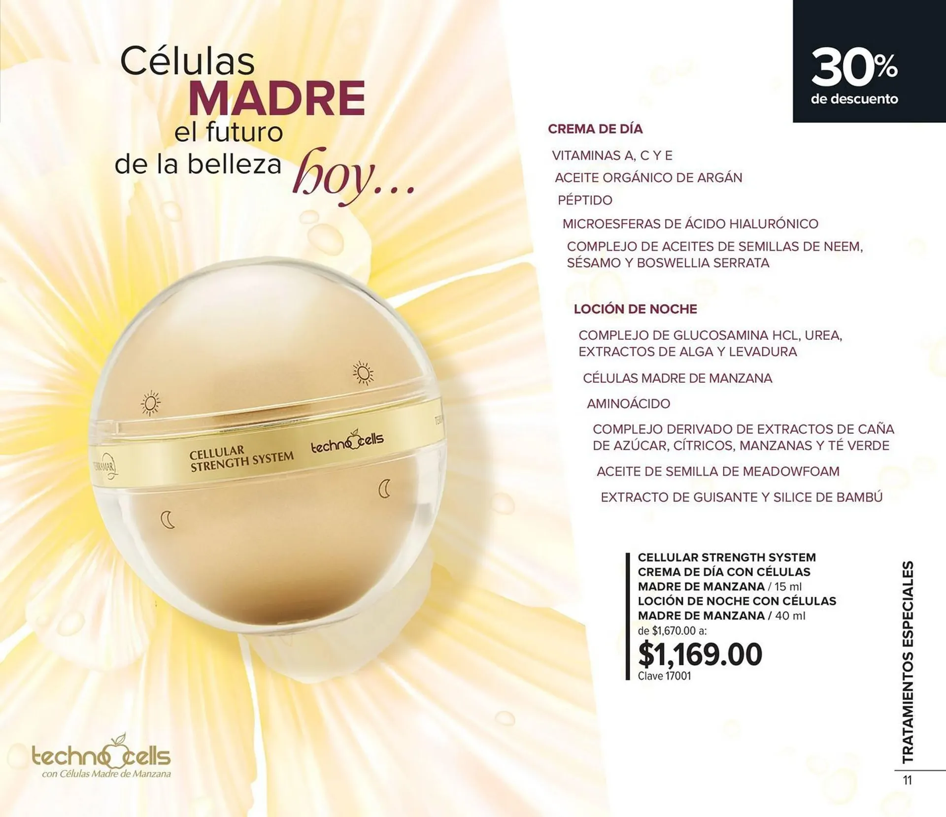 Catálogo de Catálogo Terramar Brands 1 de agosto al 31 de agosto 2025 - Pagina 11