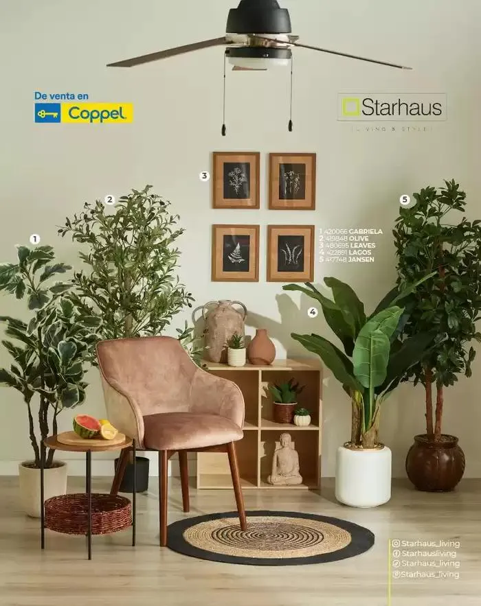 Catálogo de REVISTA MARZO 4 de marzo al 31 de marzo 2025 - Pagina 12