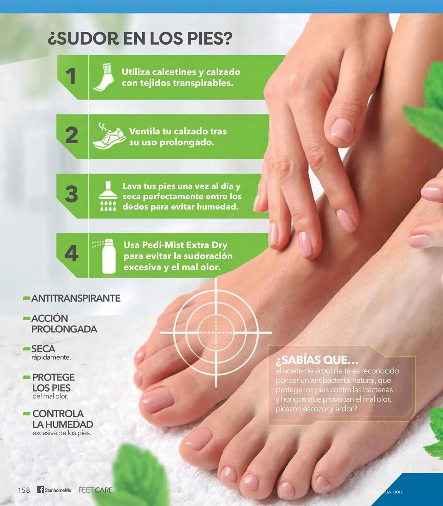 Catálogo de Catálogo Stanhome 27 de julio al 12 de agosto 2023 - Pagina 162