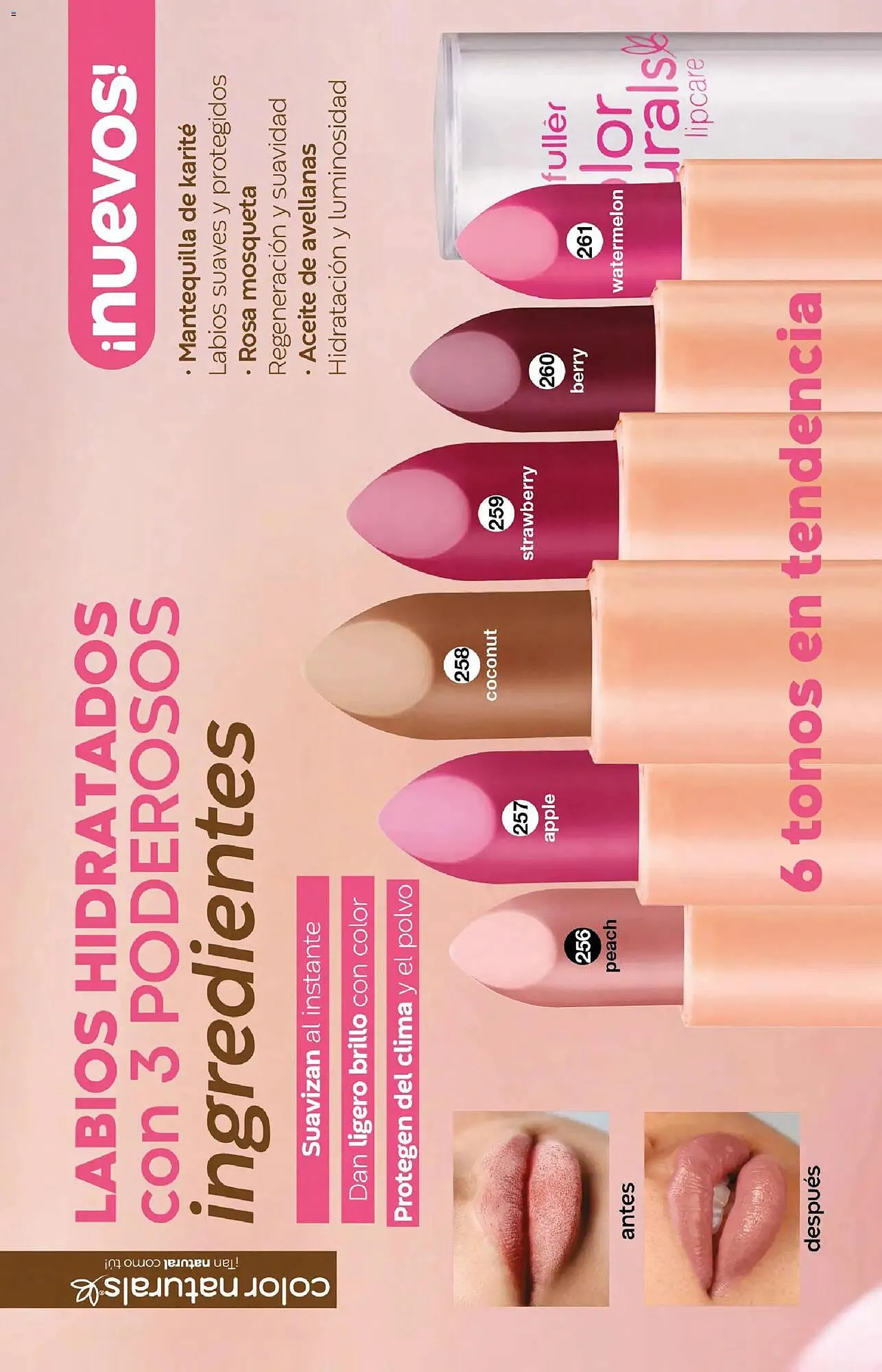 Catálogo de Catálogo Fuller 10 de diciembre al 31 de diciembre 2025 - Pagina 123