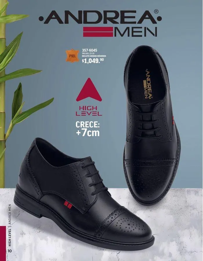 Catálogo de ANDREA - CALZADO CABALLERO 26 de agosto al 25 de enero 2025 - Pagina 196