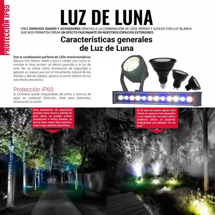 Catálogo de TecnoliteMEDIA 1 de enero al 31 de diciembre 2025 - Pagina 272