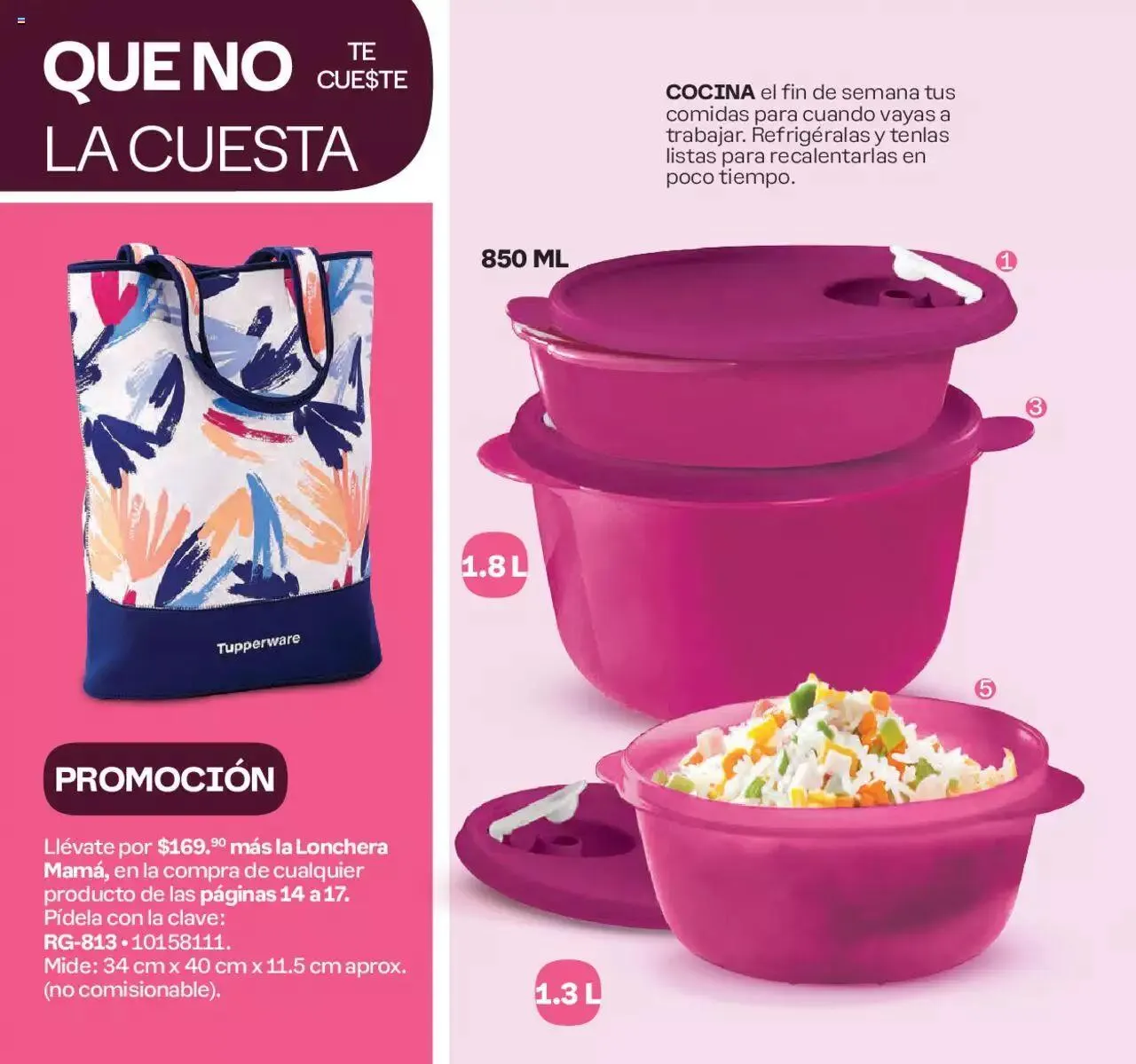 Catálogo de Tupperware catálogo 1 de enero al 21 de enero 2024 - Pagina 16