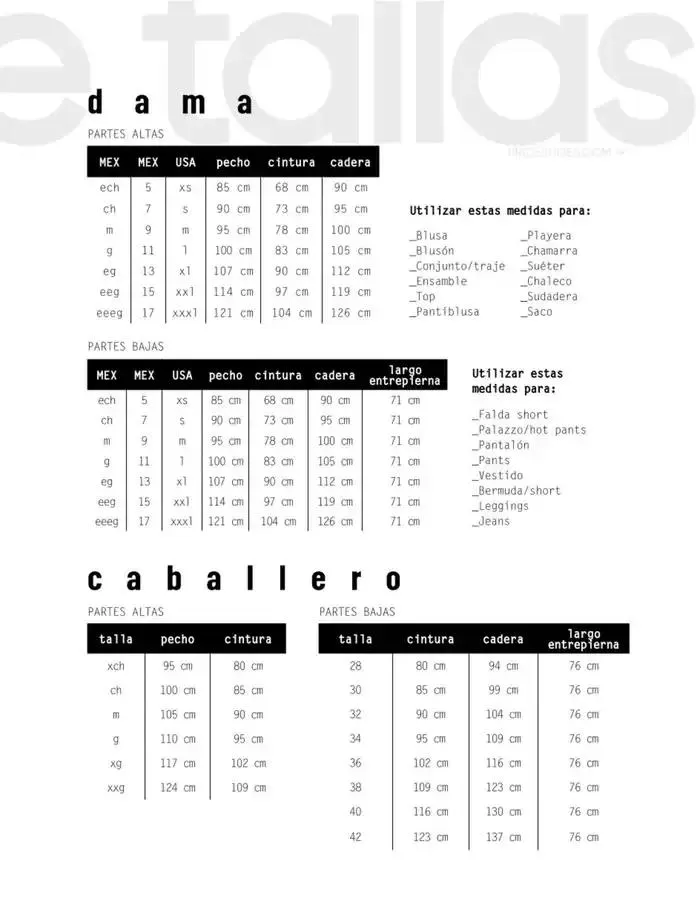 Catálogo de BASICOS | PRI-VER | 2025 | 1E 27 de enero al 30 de septiembre 2025 - Pagina 111