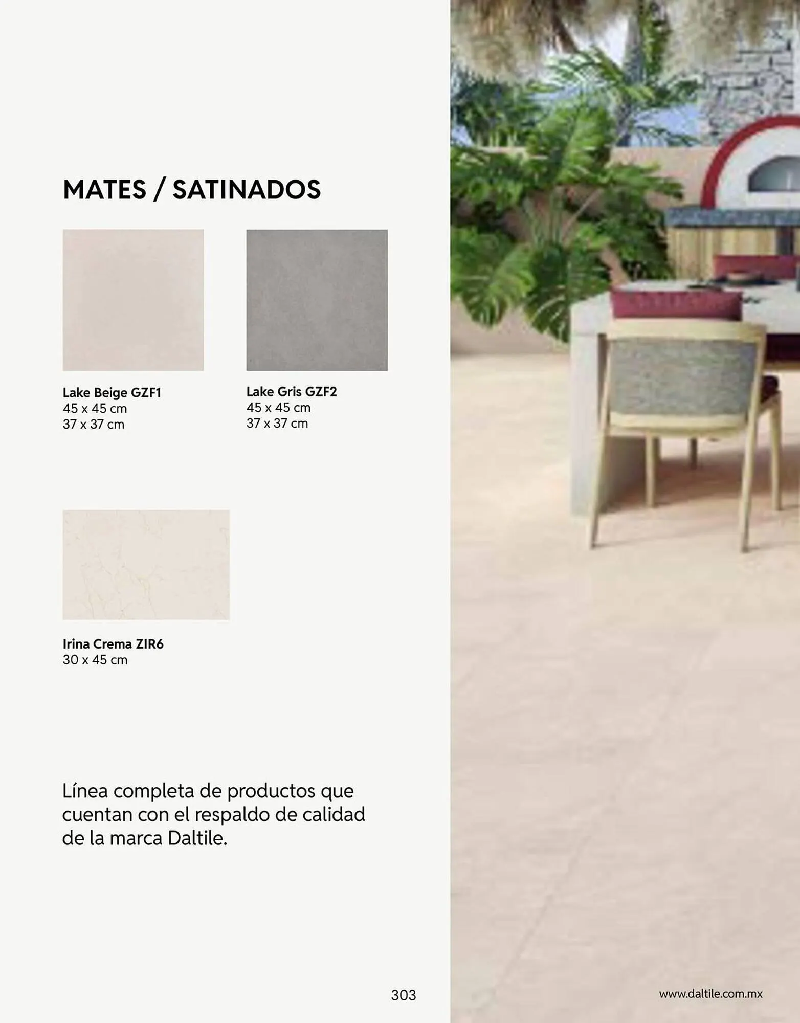 Catálogo de Catálogo Daltile 13 de enero al 31 de diciembre 2026 - Pagina 303