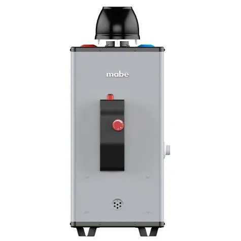 Calentador Rápida Recuperación 6 Lts P/min Gas Nat