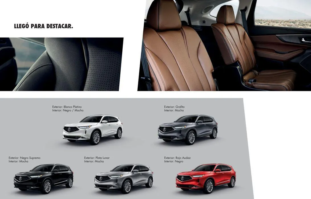 Catálogo de MDX 2024 22 de mayo al 31 de diciembre 2024 - Pagina 9