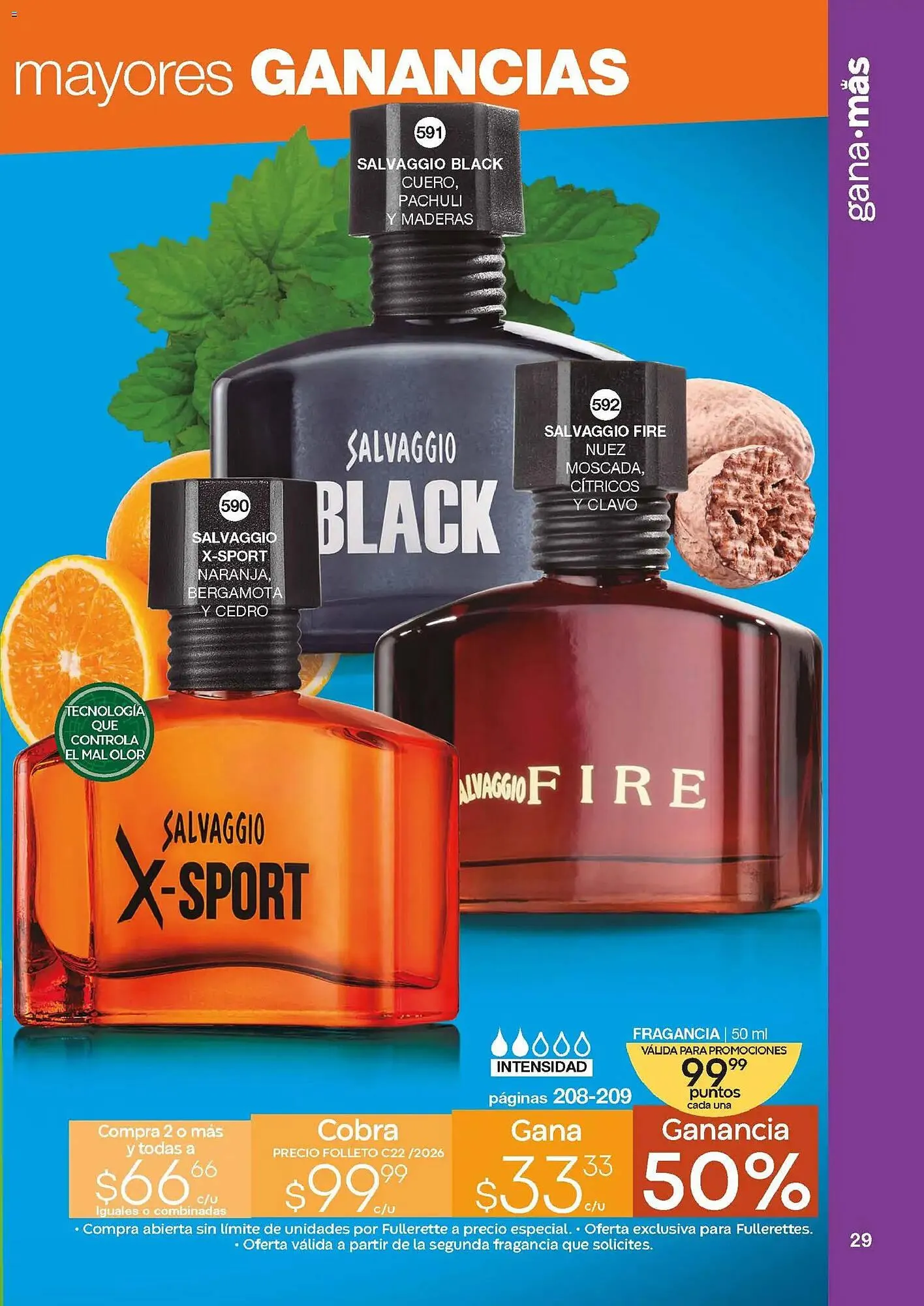 Catálogo de Catálogo Fuller 4 de febrero al 25 de febrero 2026 - Pagina 29