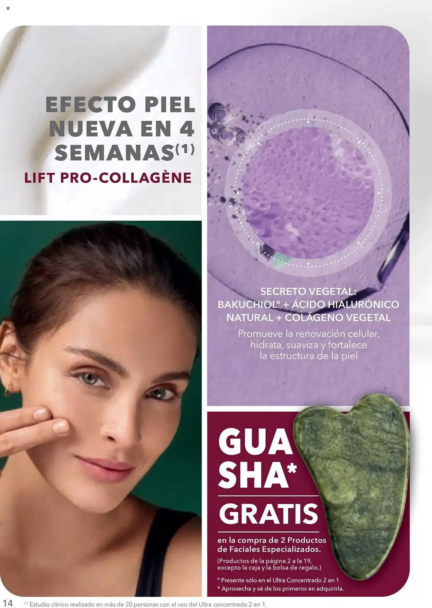 Catálogo de Catálogo Yves Rocher 18 de septiembre al 7 de octubre 2025 - Pagina 14