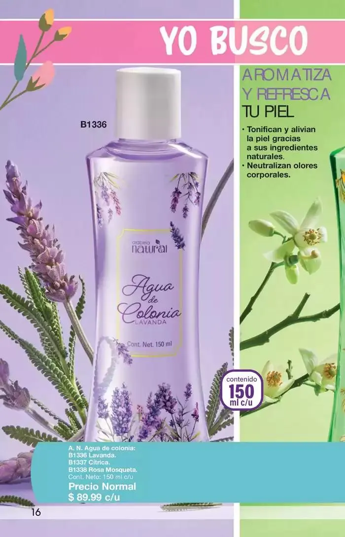 Catálogo de Arabela Campaña 05 10 de febrero al 20 de febrero 2025 - Pagina 16