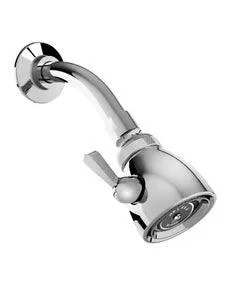 Regadera de Chorro Regulable con Palanca de Control, Brazo y Chapetón