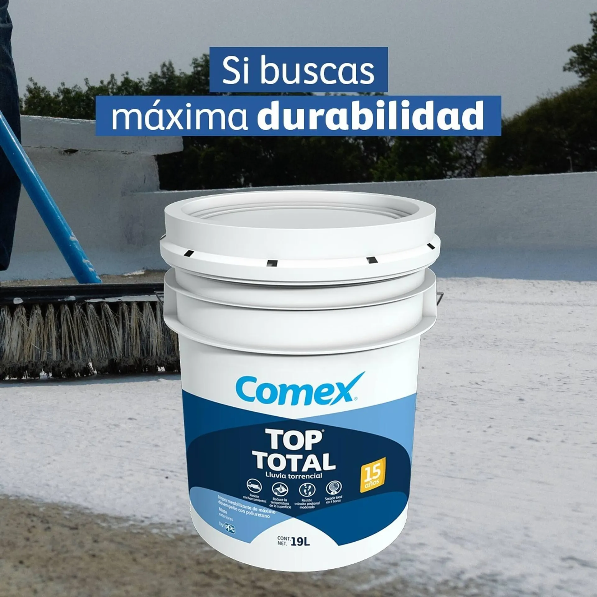 Catálogo de Catálogo Comex 19 de junio al 19 de junio 2025 - Pagina 1