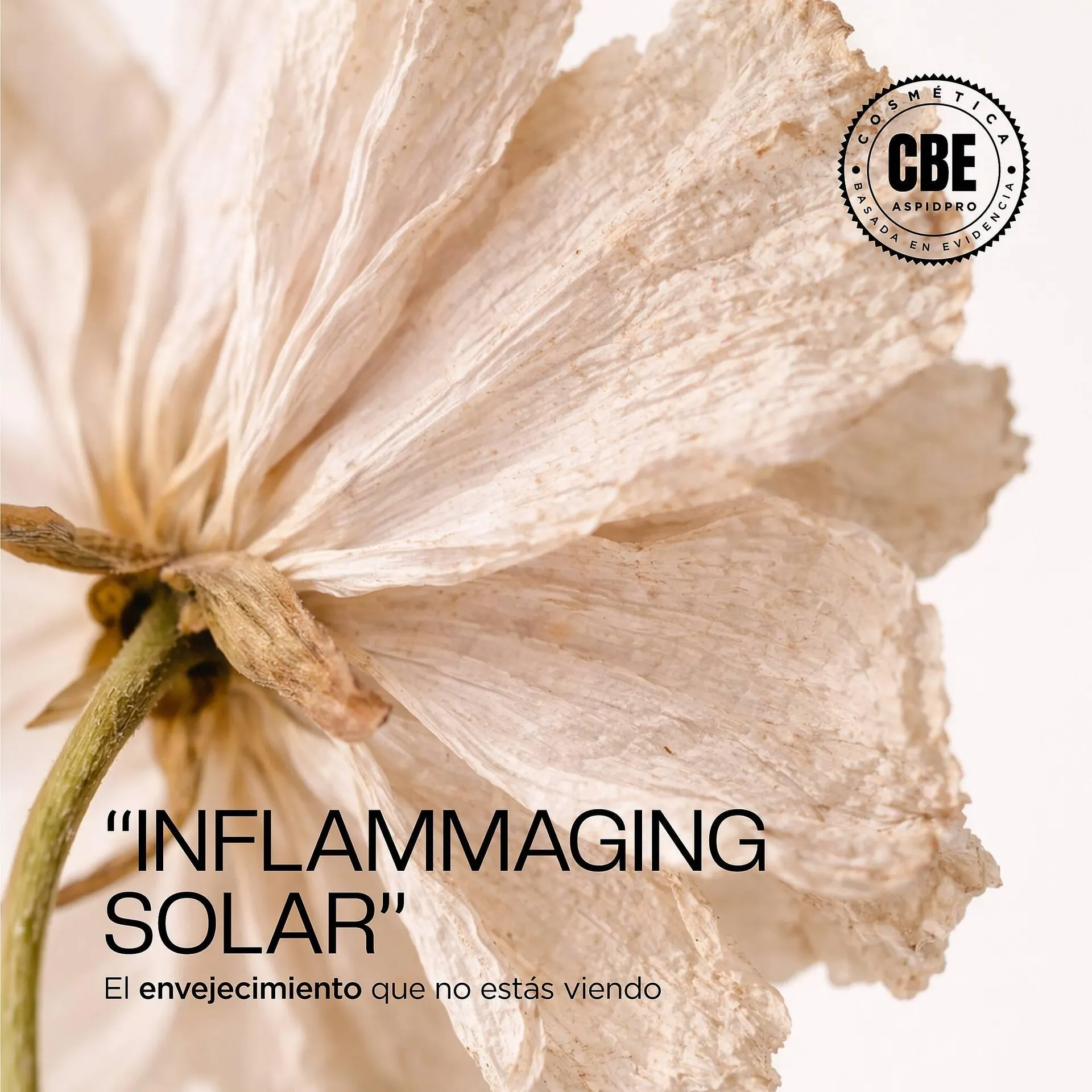 Catálogo de Catálogo AspidPro 1 de abril al 15 de abril 2026 - Pagina 1