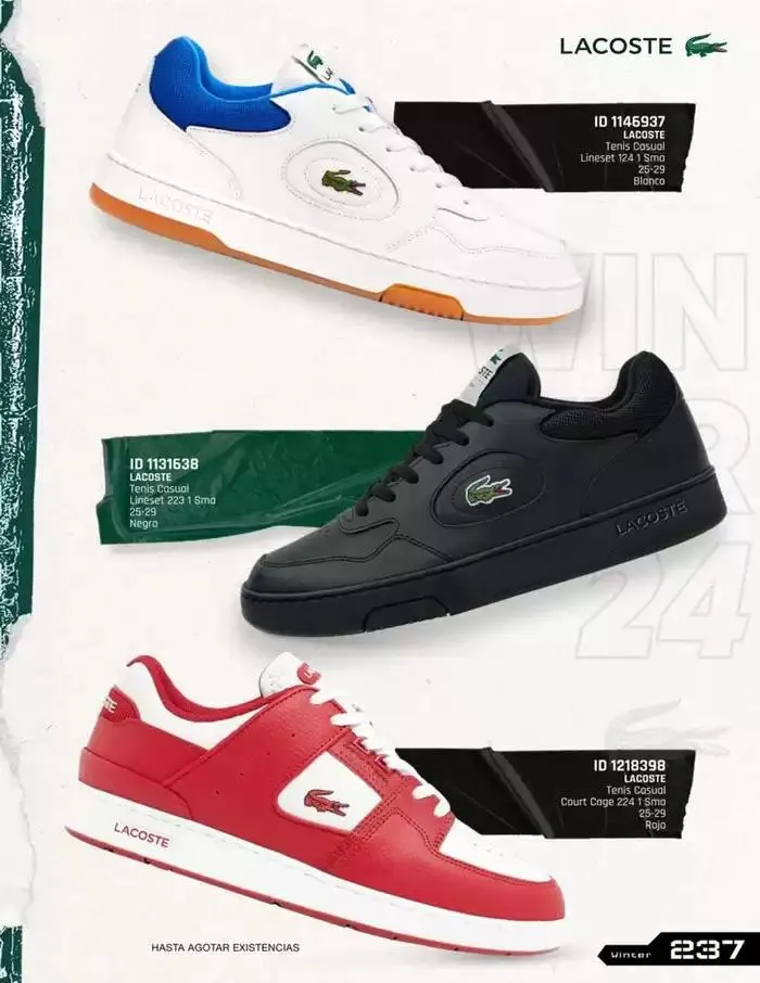 Catálogo de IMPORTADOS WINTER 11 de noviembre al 31 de enero 2025 - Pagina 237