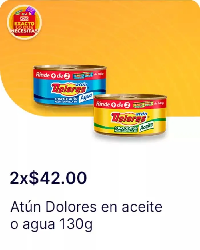 Catálogo de Gangas exclusivas 7 de abril al 14 de mayo 2025 - Pagina 21