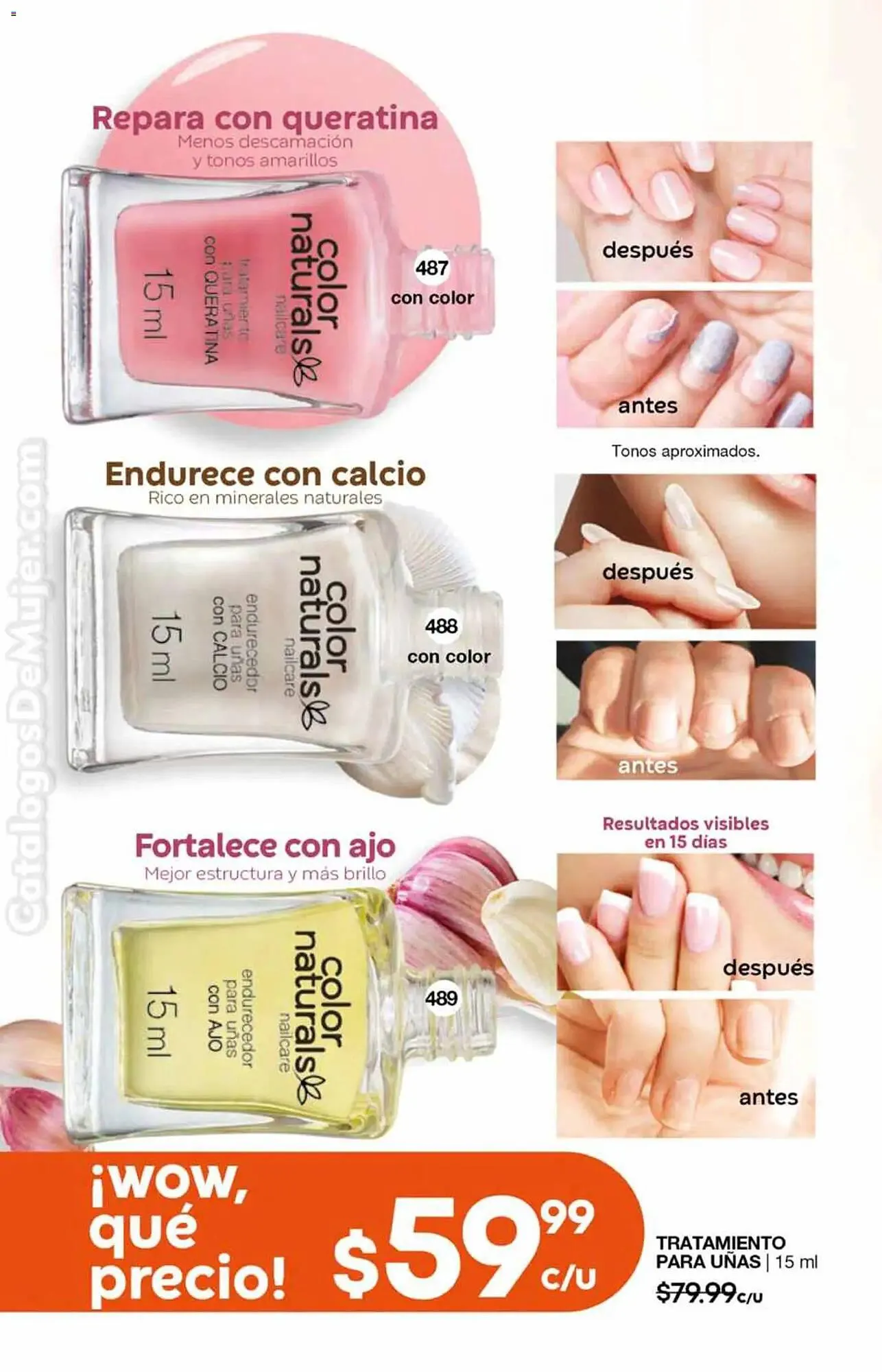 Catálogo de Catálogo Fuller 26 de noviembre al 17 de diciembre 2025 - Pagina 150