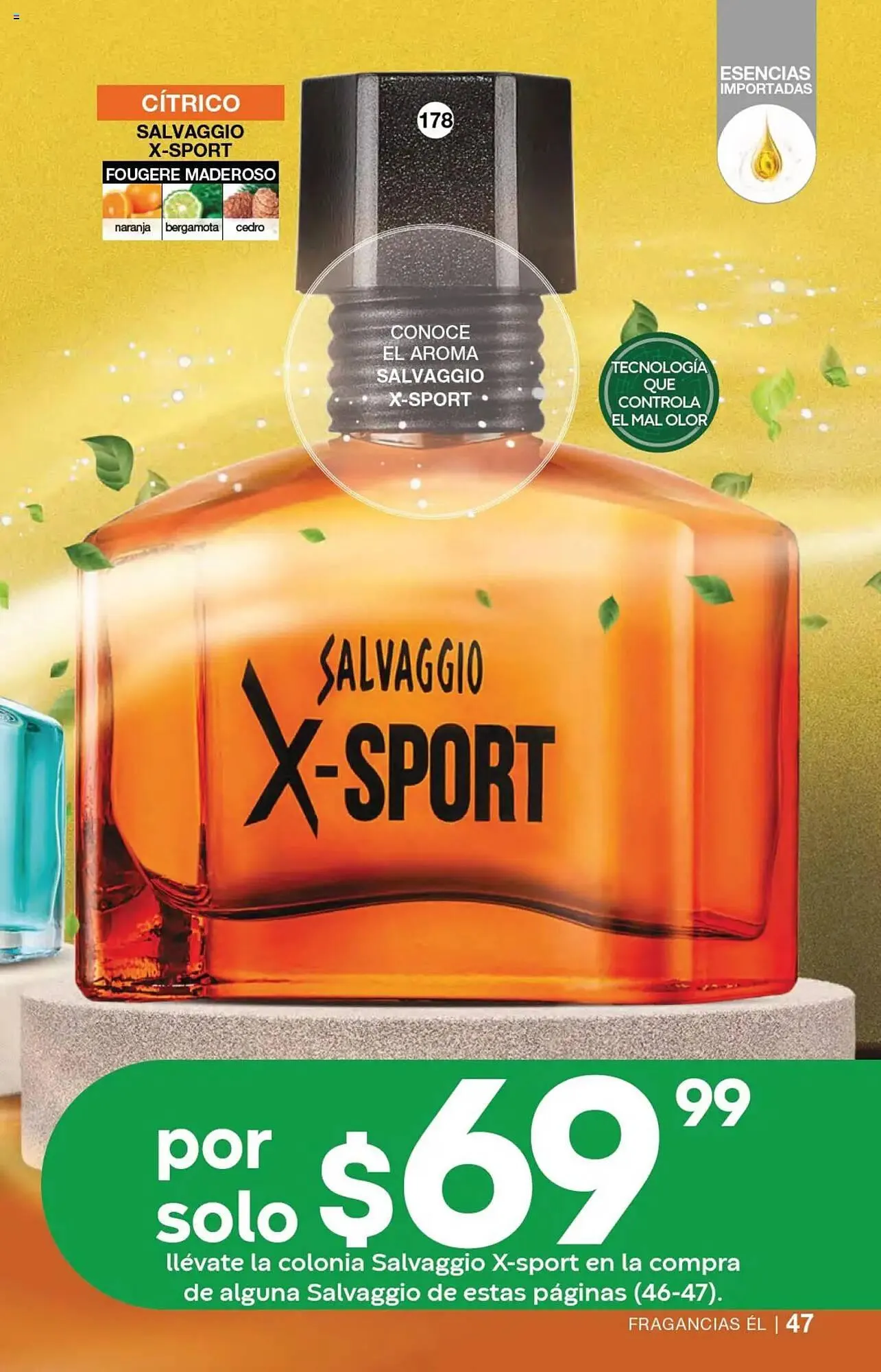 Catálogo de Catálogo Fuller 23 de julio al 13 de agosto 2025 - Pagina 49