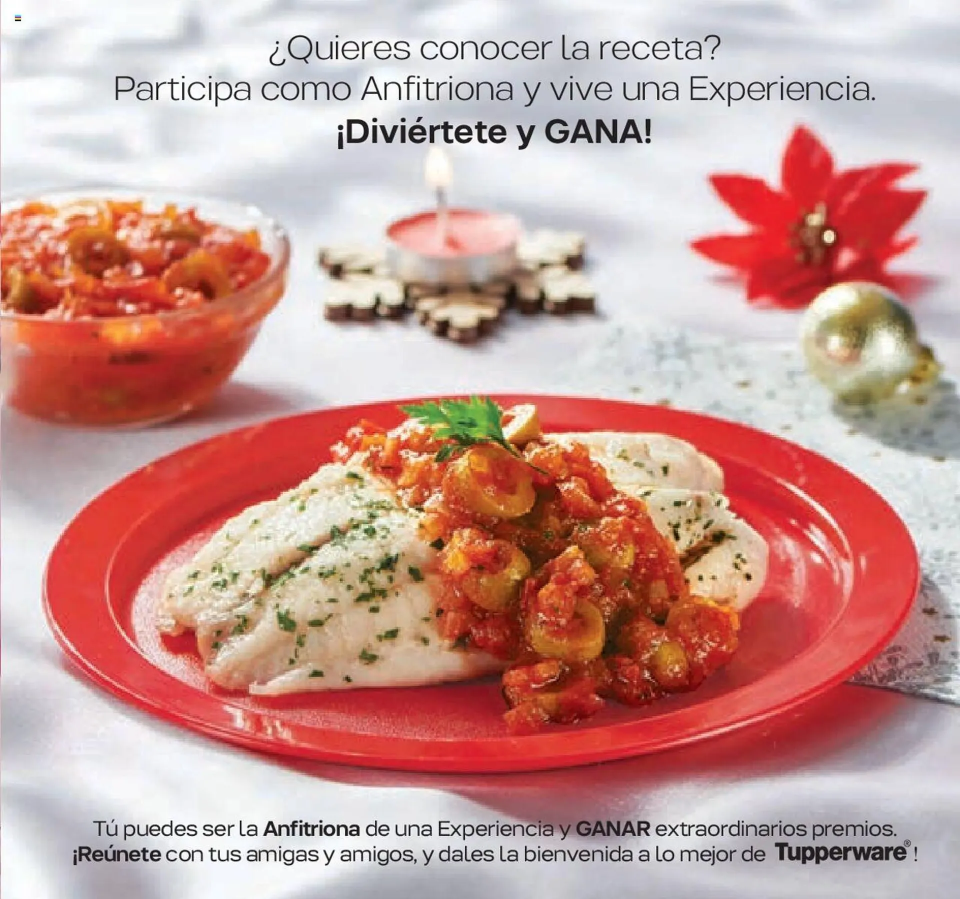 Catálogo de Catálogo Tupperware 23 de octubre al 12 de noviembre 2023 - Pagina 145