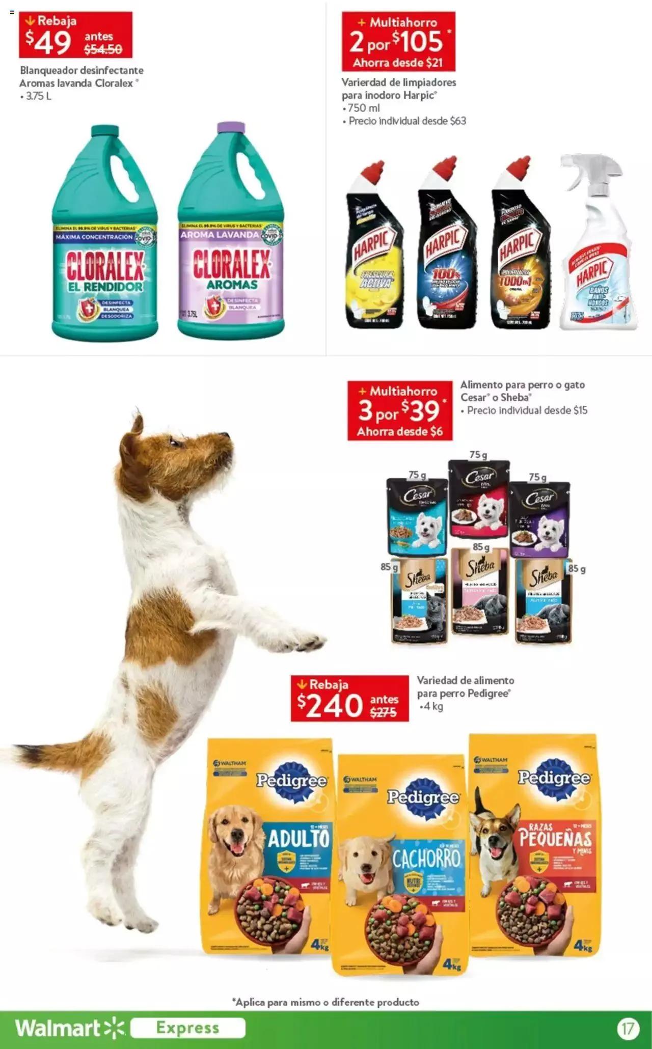 Catálogo de Walmart Express folleto 5 de octubre al 2 de noviembre 2023 - Pagina 17