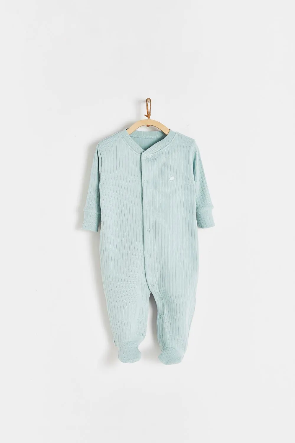 Enterito Toby Morley