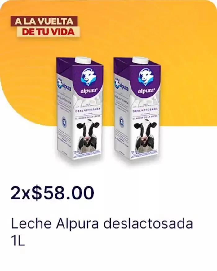 Catálogo de A la vuelta de tu vida 2 de diciembre al 1 de enero 2025 - Pagina 199