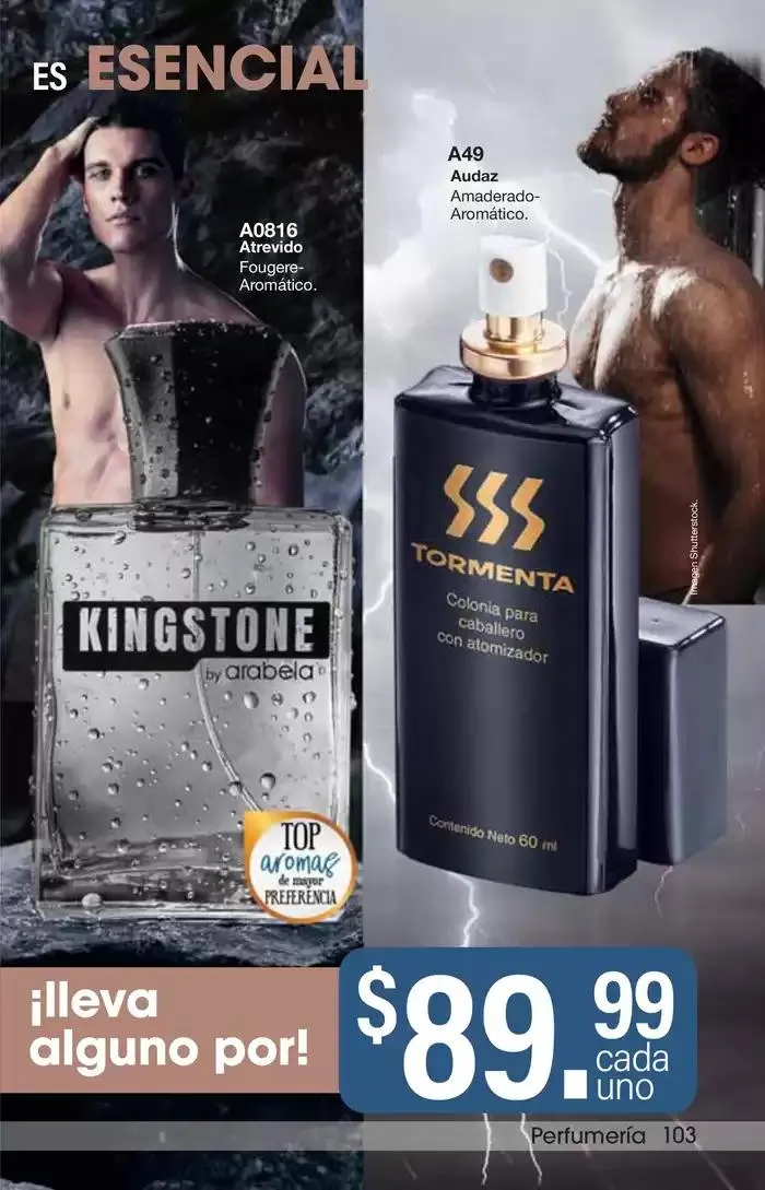 Catálogo de Arabela Campaña 24 24 de octubre al 14 de noviembre 2024 - Pagina 101