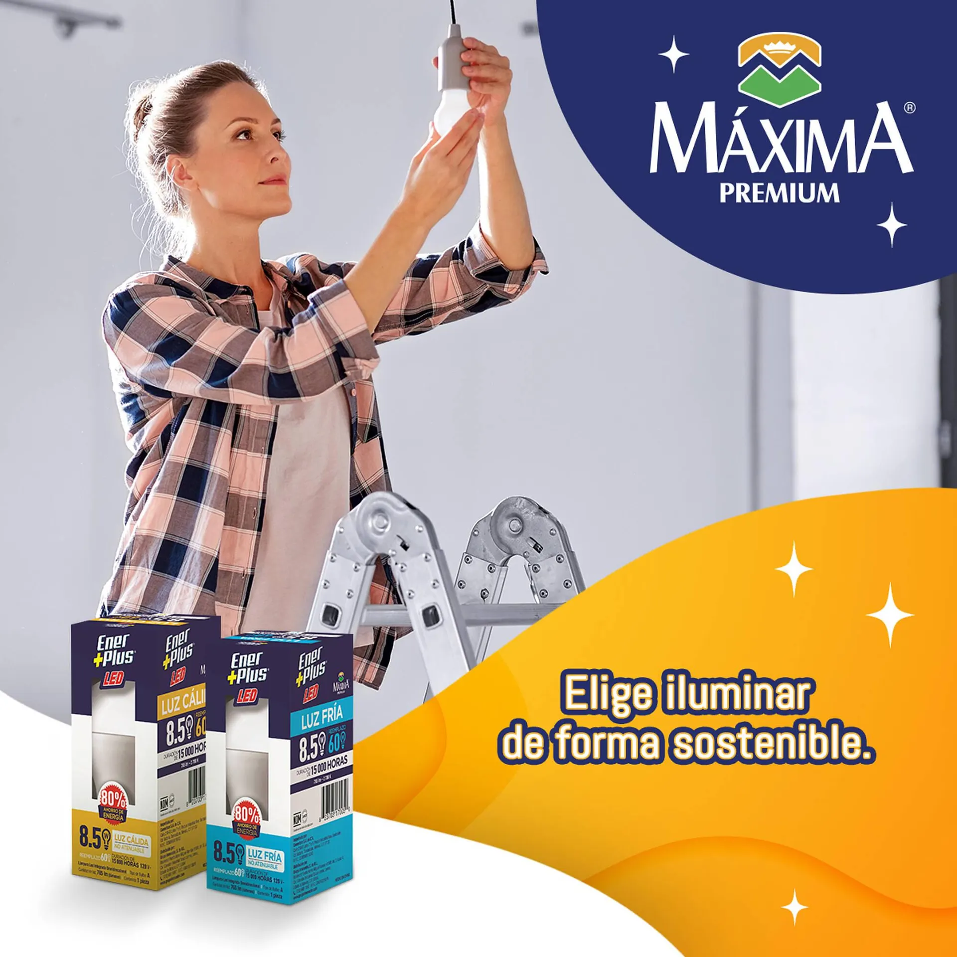 Catálogo de Catálogo Scorpion 22 de abril al 22 de abril 2024 - Pagina 3